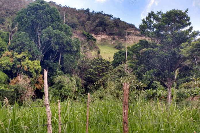 Caminhada ecológica para a mata da Caboronga acontecerá nesta segunda-feira (1º) em Ipirá