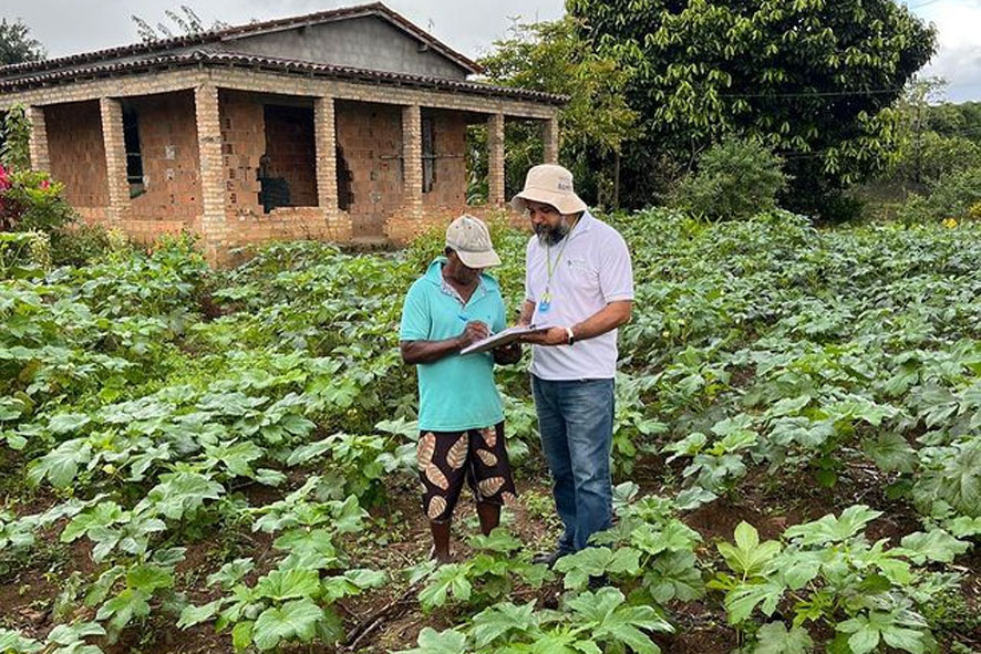 Instituto Agrovida realiza entrega de CAFs a agricultores em Cruz das Almas