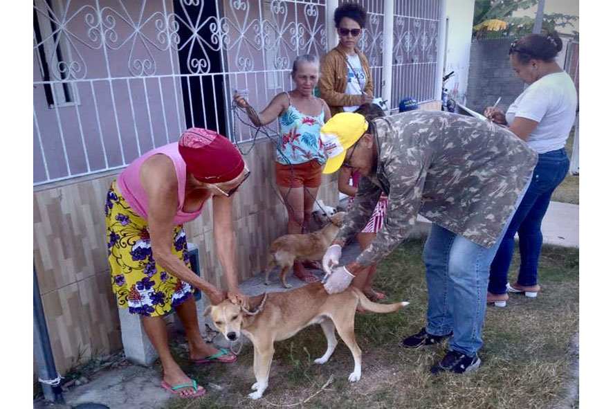 Prefeitura de Capela do Alto Alegre, Protegendo o seu melhor amigo