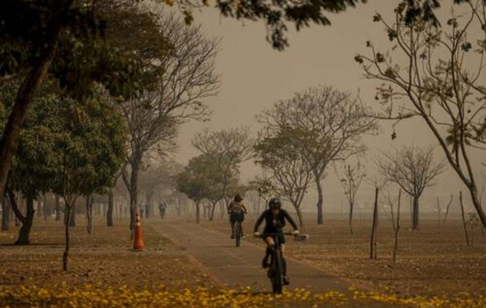 Brasil já registrou 172 mil focos de incêndio em 2024; veja como minimizar impactos na saúde