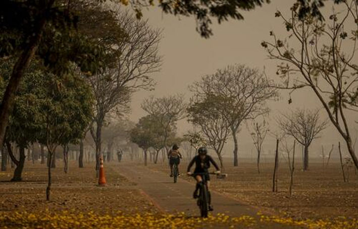 Brasil já registrou 172 mil focos de incêndio em 2024; veja como minimizar impactos na saúde