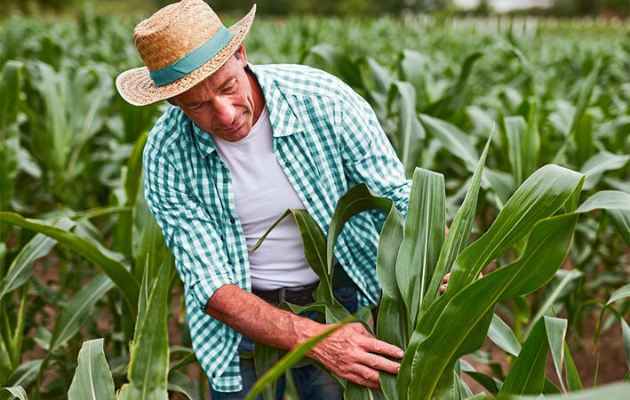 Sicoob impulsiona o agronegócio com o programa Pró-Trator