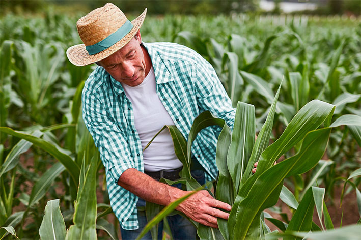 Sicoob impulsiona o agronegócio com o programa Pró-Trator